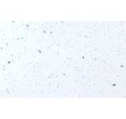 55гл Кромка с/к В/С Ледяная Искра Белая ГЛЯНЕЦ (3000х50) Скиф