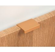 Ручка торцевая RT109SG.1/32 Сатиновое золото BOYARD